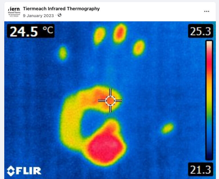 Teirmeach Infrared Thermography on Facebook